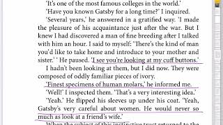 Gatsby Chapter 4: Annotations