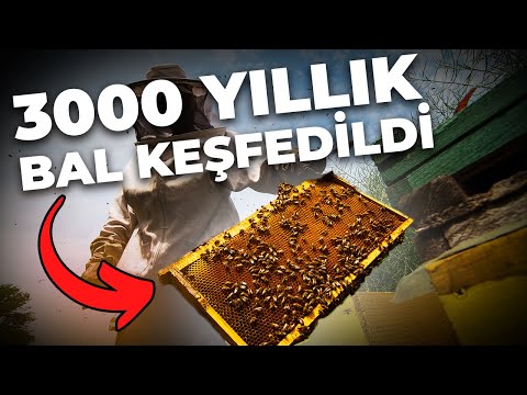 Bal Neden Bozulmaz?
