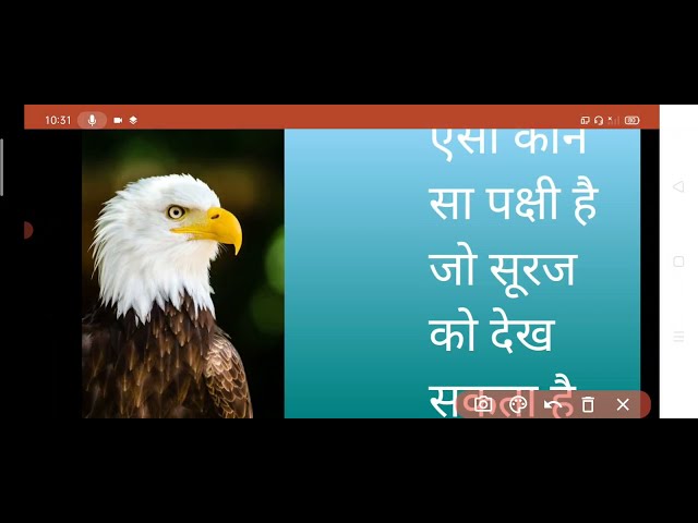 #Railway_ntpc asa pakshi Jo Suraj ko dekh sakta h ऐसा पक्षी जो सूरज को देख सकता है 🔥🔥 class=