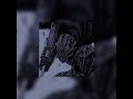 Se Tu Não Quer Passa A Vez SLOWED 