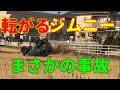 [事故]転がるジムニー。