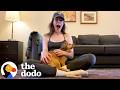 Foster Dog Was So Shut-Down — Then The Milestones Started Coming | The Dodo