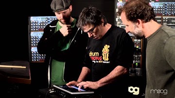 Mickey Hart Plays Animoog