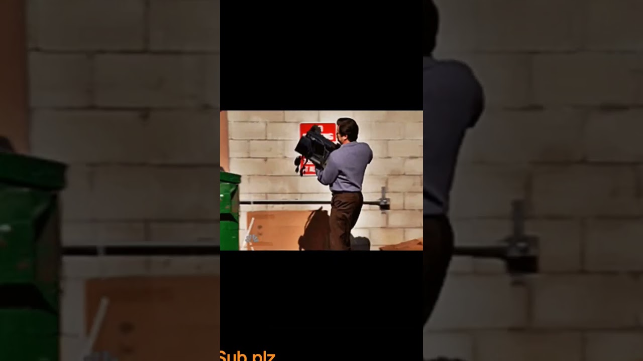 unfortunate moments on ladder 