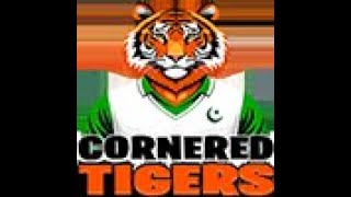 Cornered Tigers | Royal Rumble for Euro 2024 Draft Competition