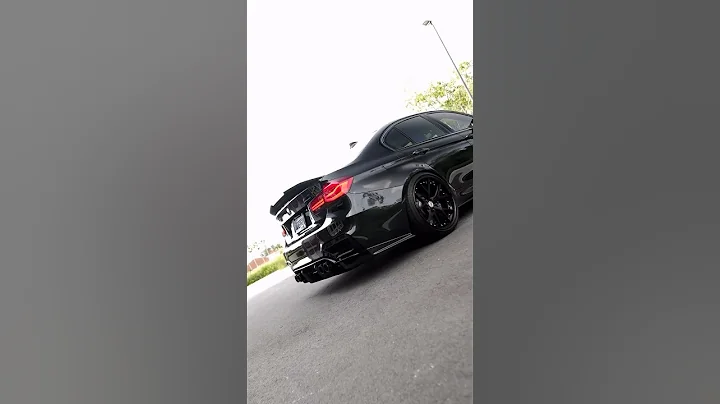 Murdered Out 🥷🏼🔥 | BMW F80 M3 #ytshorts #shorts #shortsvideo #viral #trending #bmw
