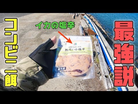 釣り餌がなくてもコンビニの イカの塩辛 で無双できる説 コンビニ餌シリーズ 1 Youtube