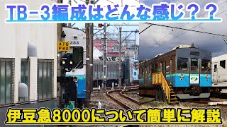 【伊豆急8000系】TB-3編成は今どうなってる？今後どうなる？