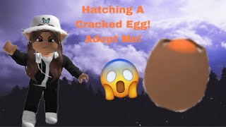 Hatching A Cracked Egg! Adopt Me!