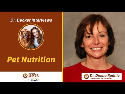 dr.-becker-and-dr.-raditic-on-pet-nutrition