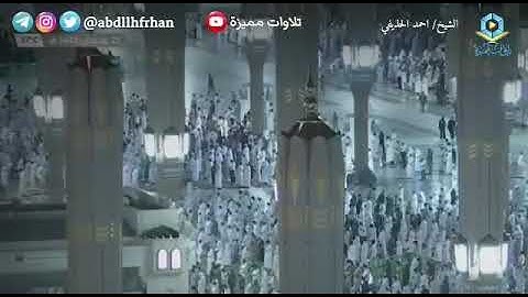 تلاوة فضيلة الشيخ د أحمد الحذيفي جد النبوي  م صلاة التراويح ليلة ٢٦ رمضان ١٤٤٢هـ