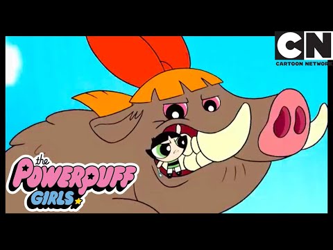 Супер Свинки | Суперкрошки | Cartoon Network