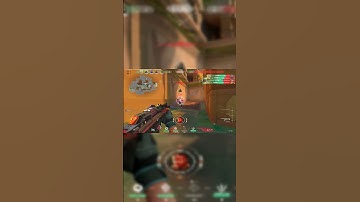 Is *PHASEGUARD* Bundle worth it?