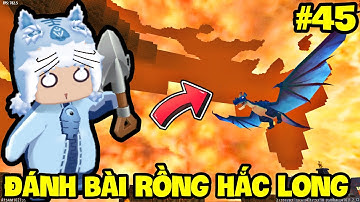 SINH TỒN ĐẠI DƯƠNG - TẬP 45: MEOWPEO ĐÁNH BẠI RỒNG HẮC LONG TRONG MINI WORLD