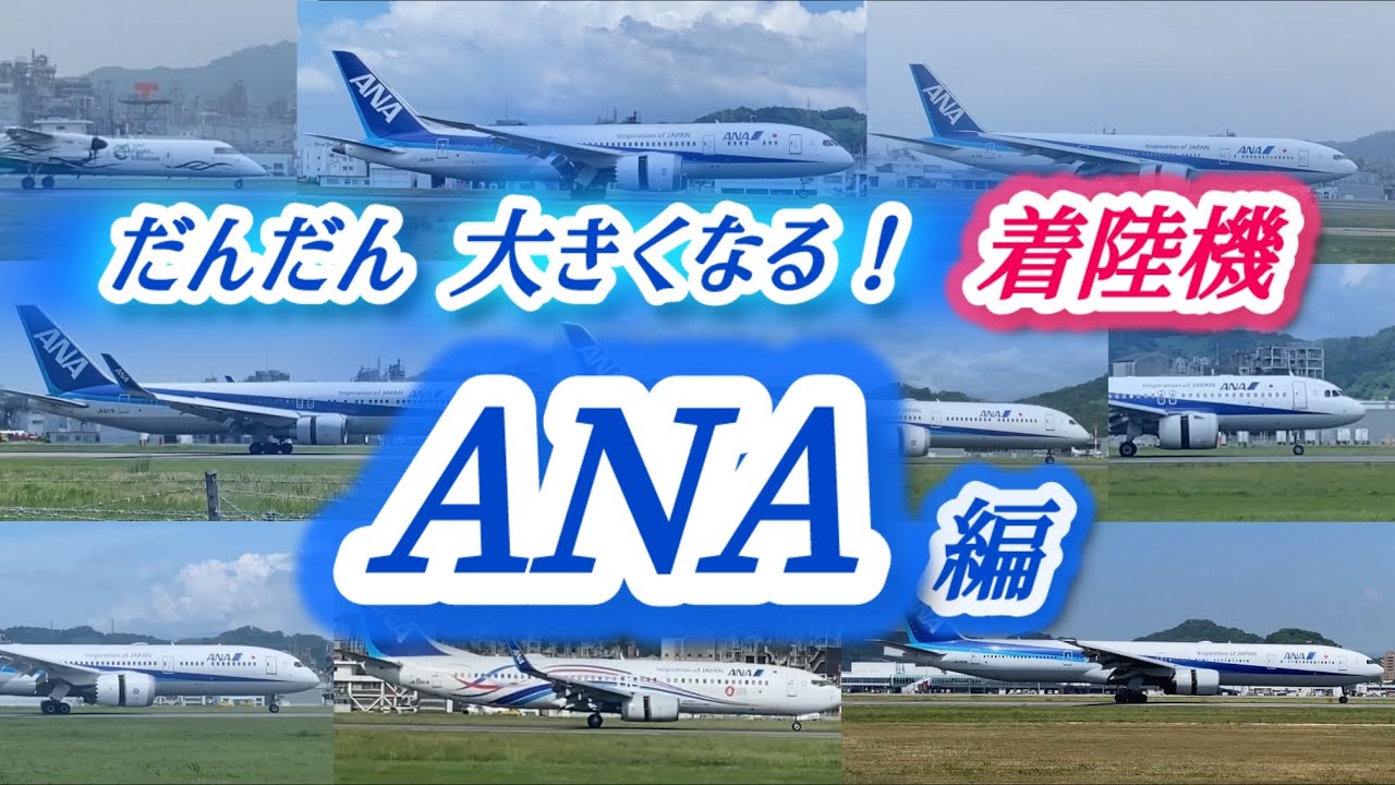 【ANA】【松山空港】だんだん大きくなる飛行機の着陸シーン