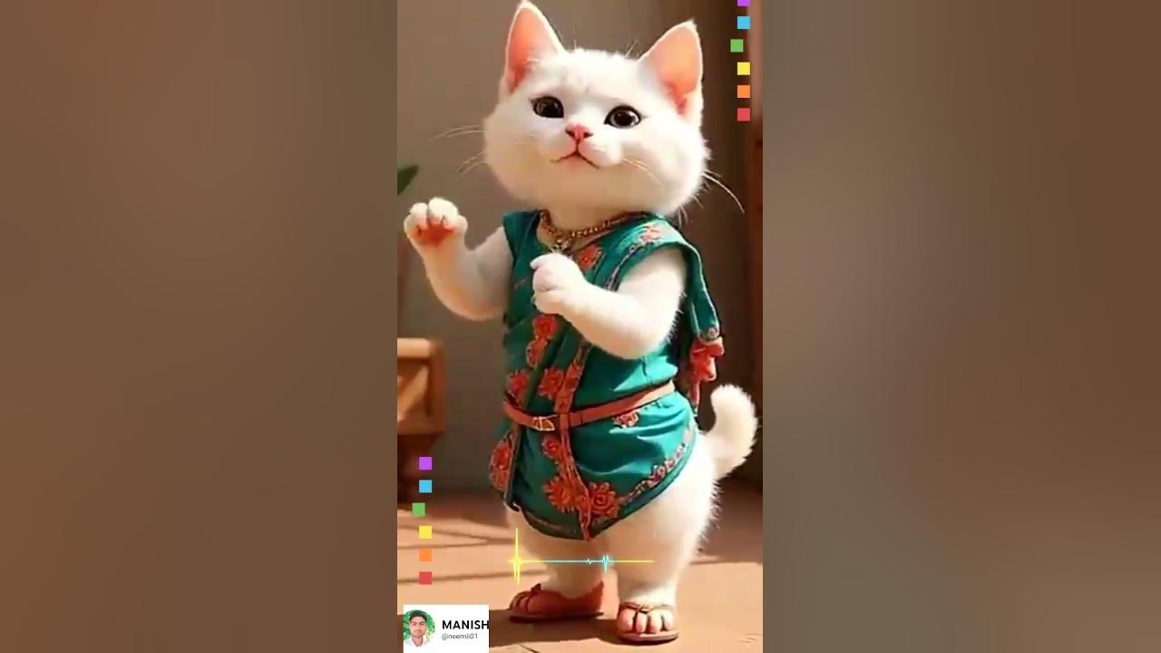 #music #song #https #love #cat #butifyoucloseyoureyes #musicgenre #neemli01 #cute #lifeisbutadream