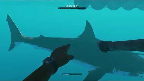 Stranded Deep Megalodon Kill
