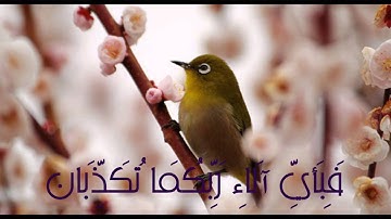 سورة الرحمن الشيخ حسين ال الشيخ خشوع وصوت رائع