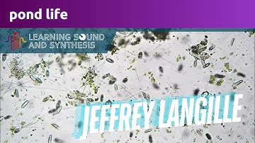 pond life | Jeffrey Langille