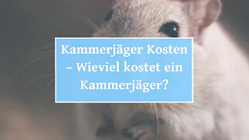 Wie teuer ist der Einsatz von Kammerjäger?