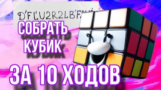 :      10 