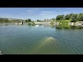 Doğanın Sesi | Göl ve Kuş Cıvıltıları (10 Dakika) #viralvideo