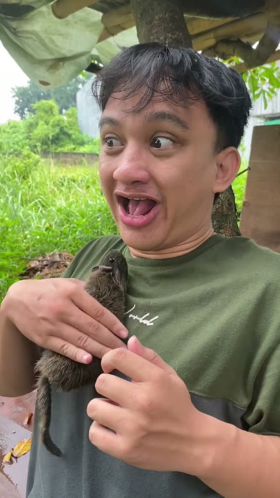 Kucing Penangkap Tikus