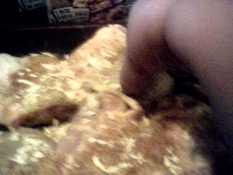 chicken an stuffing casserole w/ homemade milk gravy