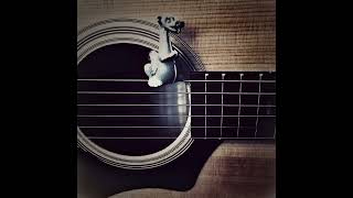 Puff The Magic Dragon Peter, Paul And Mary Cover By Dave Neves