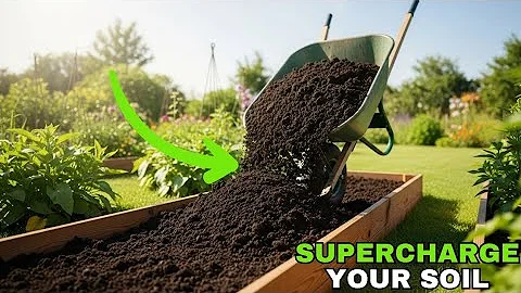 Struggling with Poor Soil? Try This Easy Fix!