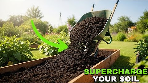 Struggling with Poor Soil? Try This Easy Fix!