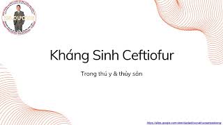 Hướng dẫn sử dụng kháng sinh Ceftiofur trong thú y và thủy sản đạt hiệu quả cao nhất