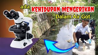 MENGERIKAN...Beginilah Kehidupan Dalam Air Got/Comberan | microscope olympus