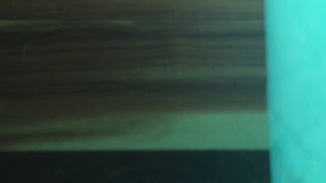 reading the bee movie script for 1 hour straight