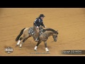 Shiney Outlaw - NRCHA WORLD Bridle Open Champion