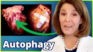 REVERSE Heart Disease with Autophagy