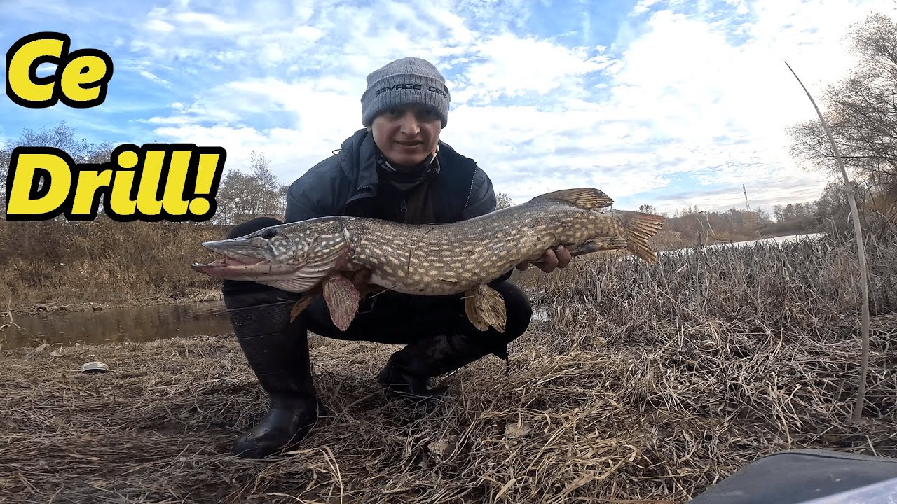 Am Pescuit pe Prut si Siret in Cautarea Rapitorilor si am Prins o Stiuca Frumoasa!