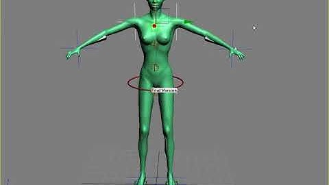 Rigging tutorial | [Crazy MediaWorks]