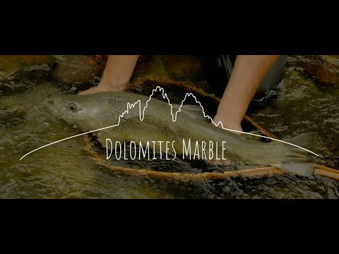 Dolimites Marble avec JMC - Mouches de Charette Fly Fishing