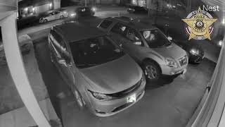 Antioch, IL: Police Issue Community Alert After Vehicle Thefts #whoiswanted