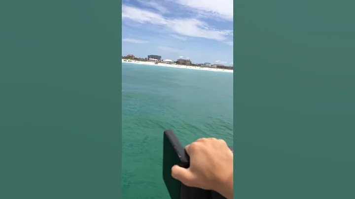 My Florida vacation
