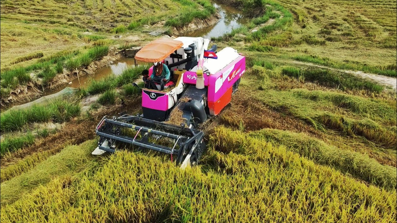 Best Combine Harvester Kubota DC108X Rice Harvester Machinery  Rice Cutting Machine Working Skills
