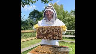 Honey Harvest 2021