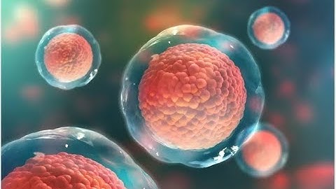 Stem Cell Biology: The Future of Medicine Mini-Lecture (19 Minutes)