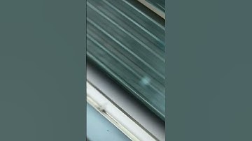 full vedio upload my channel #viralvideo #viral #vlog #inshot #youtubeshorts #youtube if you want to