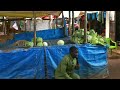 INJILI MBOZI VWAWA SOKONI UJUMBE WA SIKU ZA MWISHO WA REHEMA 