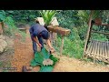 Sowing seeds, Making rudimentary tools for farming, Farming rice -  Survival Instinct | Episode 154