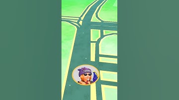 Wat? #shorts #glitch #pokemon #pugu #wierd #bug