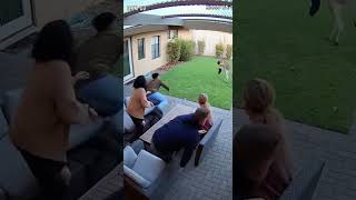 “Kangaroo Kidnaps Baby! 😱 Real CCTV Footage from Backyard 🦘” #viralvideo  #sora2  #youtubeshorts