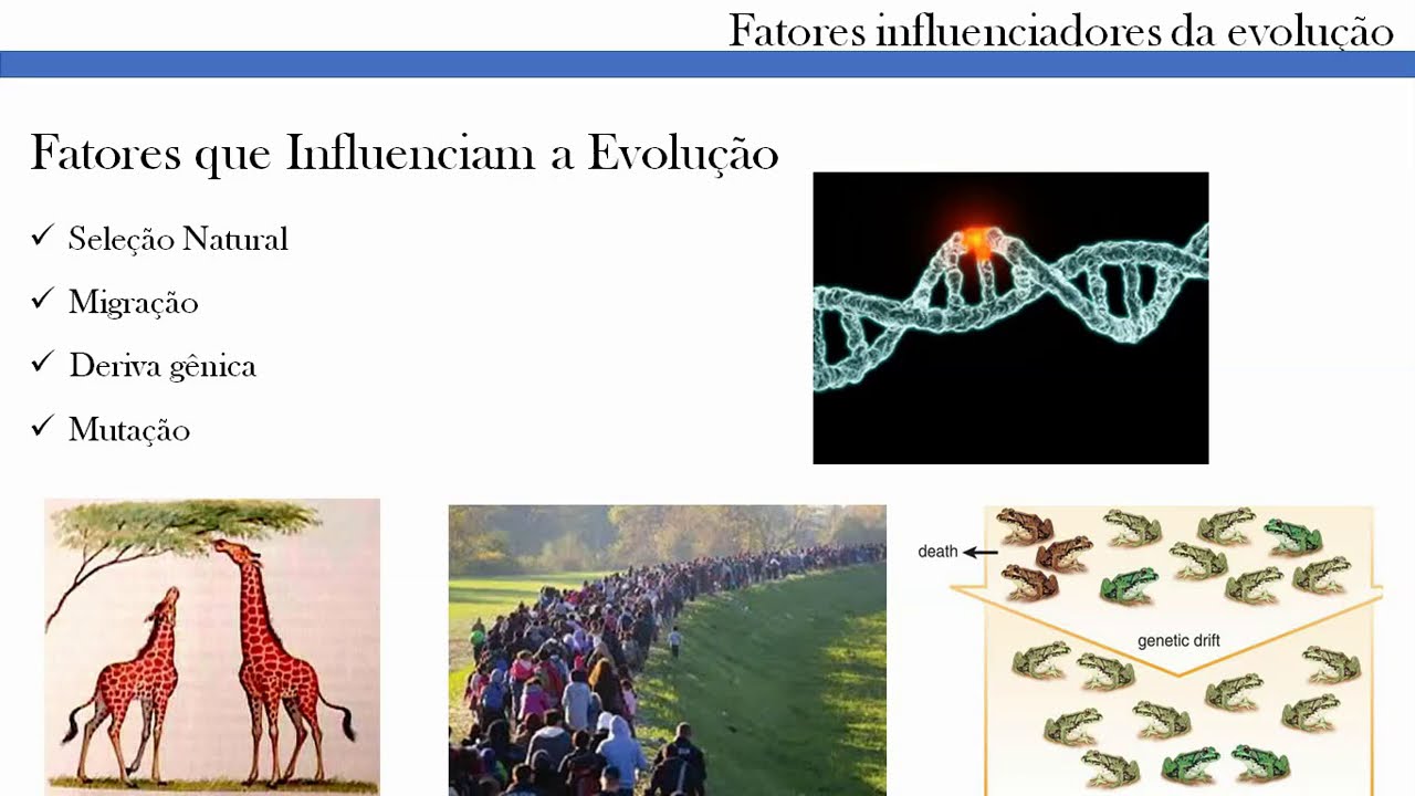 Em Relação A Evolução Biologica Considere Os Fatores Abaixo